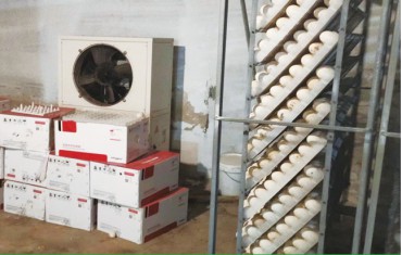 空气源热泵热风机在体育馆、粮库、蛋库应用案例